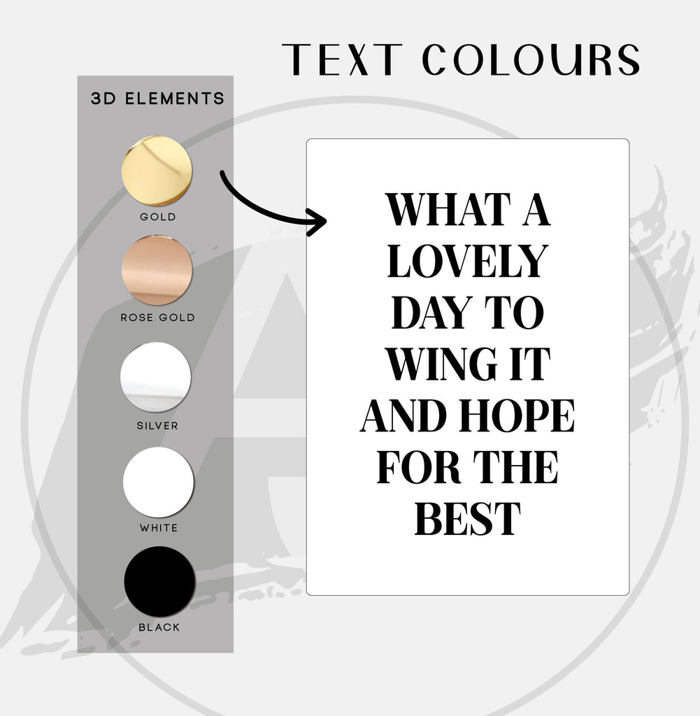 Wall Art 3D Quote Acrylic Sign | What a lovely day to wing it